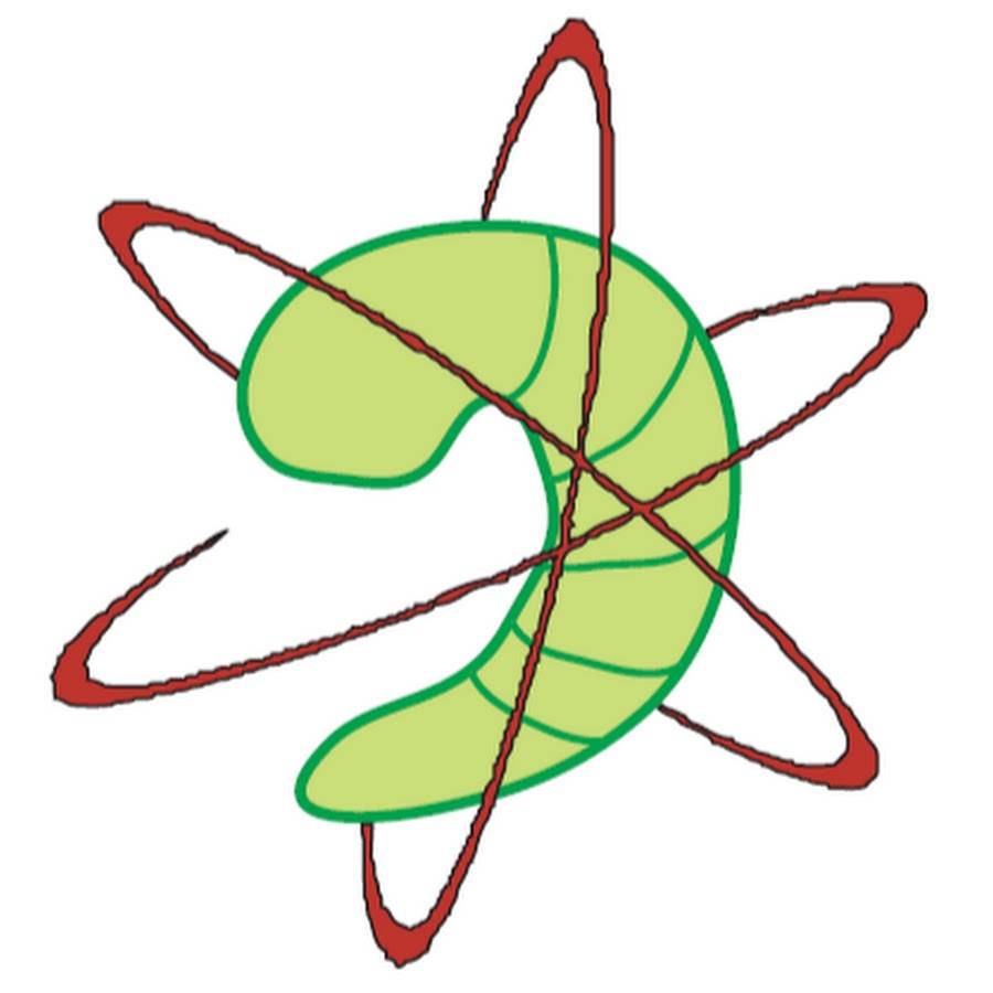 A small green shrimp, with red orbiting lines around it, making it appear like an atom.