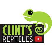 An happy chamaleon, perched upon a box that reads 'Clint's reptiles', followed by a youtube logo.